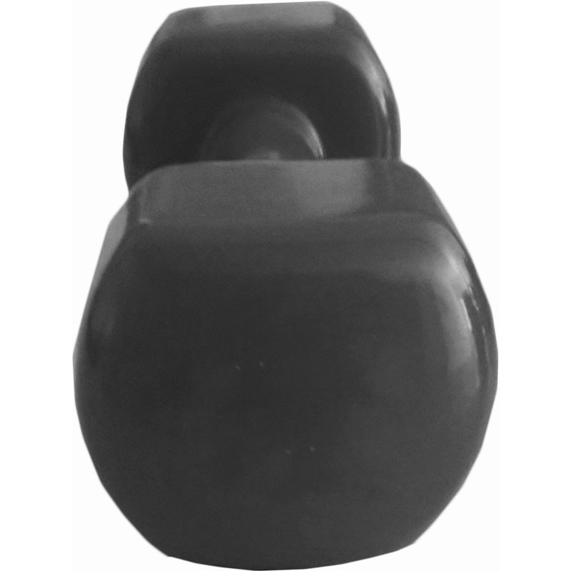Manubrio peso palestra 9 kg