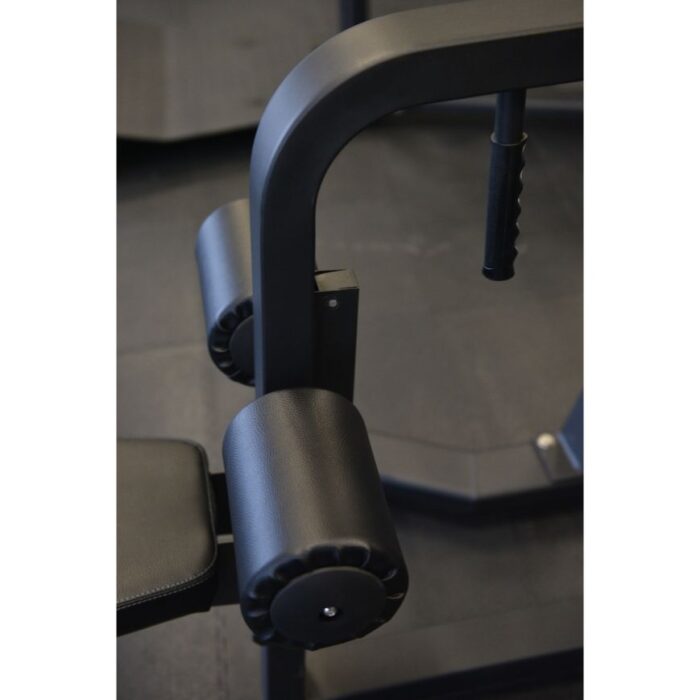 FWX-5600 PULL DOWN Toorx Vertical - immagine 9